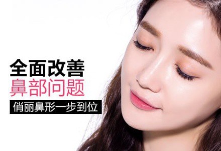 整個(gè)鼻子大概多少錢(qián)？