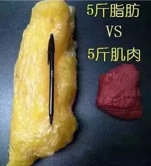 面對減肥這件事，一定要保持頭腦清醒！