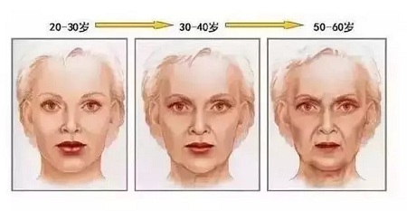 問診室：你說脂肪壓得你好累，殊不知它也可以是寶貝