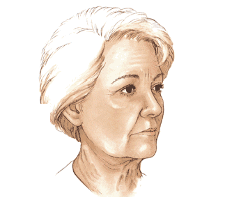 關于*雕，你想了解的都在這里！