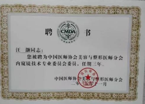 汪灝中國(guó)醫(yī)師協(xié)會(huì)美容與整形醫(yī)師分會(huì)內(nèi)窺鏡技術(shù)專(zhuān)業(yè)委員會(huì)委員