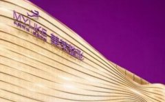 2024年衡陽市做眼袋手術醫(yī)院排行榜，哪家整形醫(yī)院更有實力？